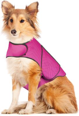  				Dog Anxiety Jacket Vet Recommended Calming Solution Vest for Fireworks, Thunder, Travel, & Separation 	        
