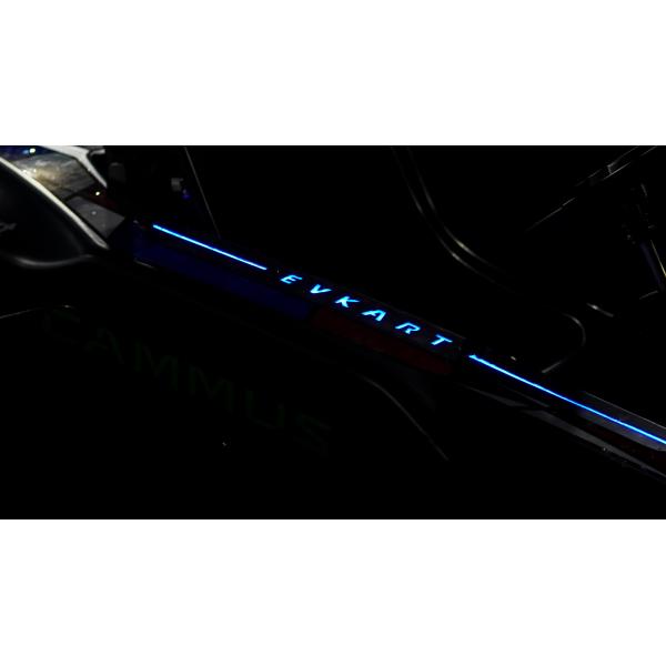 Обслуживание Karting 3500RPM профессионального 4 колеса электрическое крытое удаленное