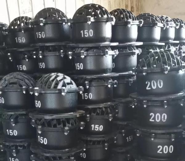 DN150 DN200 cast iron flanged foot valve