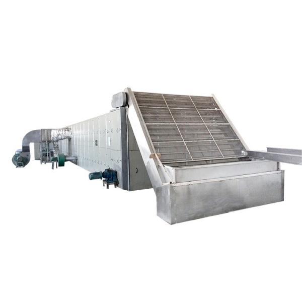 Dual Layer Fruit Mesh Belt Dryer SUS304