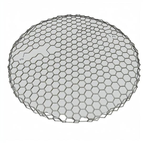 Réseau d'acier hexagonal galvanisé de poulet 1/2 1 pour filetage de volaille