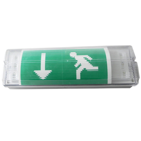 Fire Retardant ABS Casing Non Maintained Waterproof Emergency Light IP65 LED 3 Hours Duration EL015AN