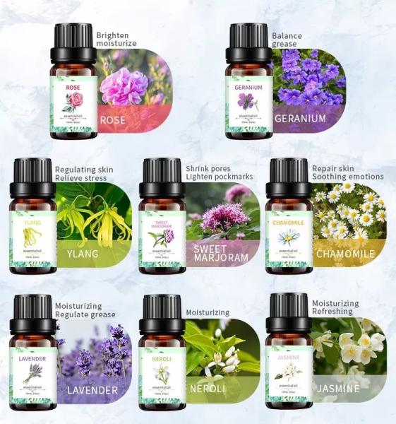 OEM ODM Geranium Aromatherapy Oil Organic Essential Oil Set 10ml For Gifts