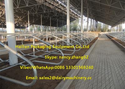 Hot Dip Galvanizing Tie Free Stall Dairy Barns Cow Farm Equipment Parts