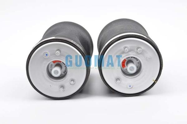 BMW X5 E53 Pneumatic Spring Air Suspension Shocks Rear Left And Right 37126750355／37126750356