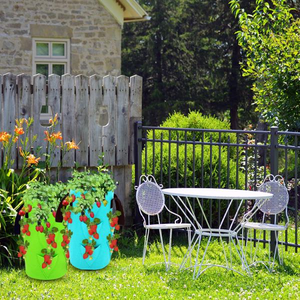Nonwoven Fabric Strawberry Grow Bag Plant Pots
