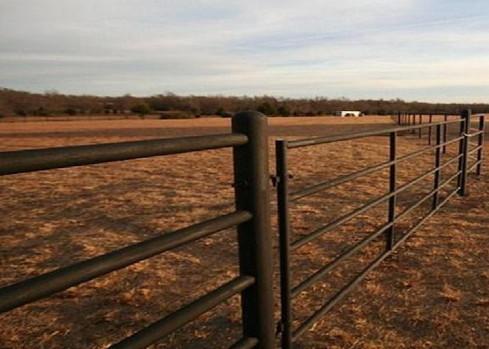 Anti Escape Corrosion Resistant Livestock Fence For Cattle / Sheep / Horseses