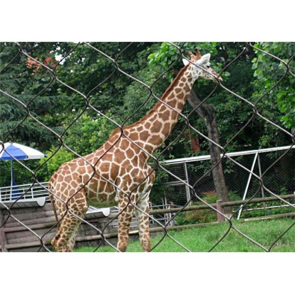Diamond Architectural 3.0mm Stainless Steel Webnet Knotted Zoo Fence