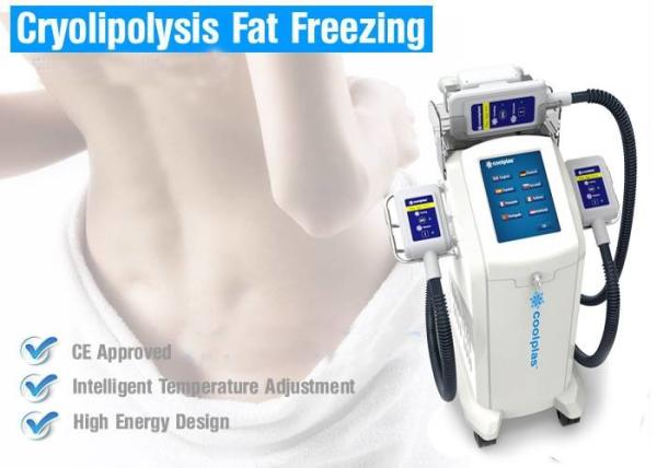 Máquina gorda da perda de peso do emagrecimento do gelo Multifunction da máquina da beleza com 3 tratamentos