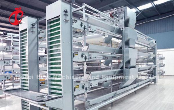 Система 1.5KW 380V Дорис Semi автоматической клетки слоя птицы питаясь
