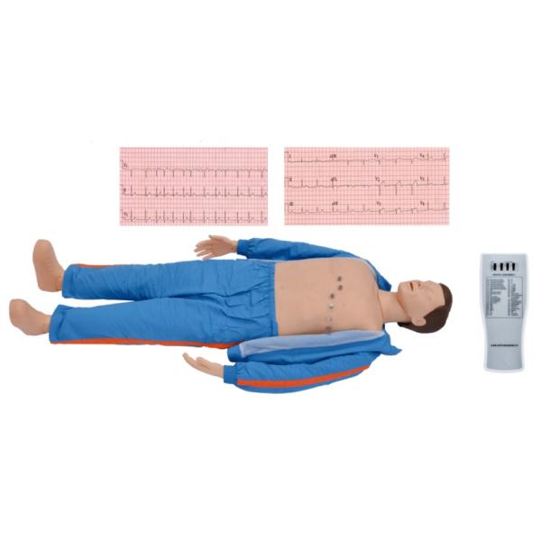 Advanced ECG Training Manikin Adult Computerized Simulator for Medical Professionals