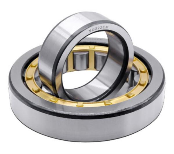 Radial Cylindrical Roller Bearings N216 N218 N220 N200 Series N205 N220
