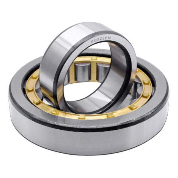 N232 Cylindrical Roller Bearings N205 N220 N200 Series