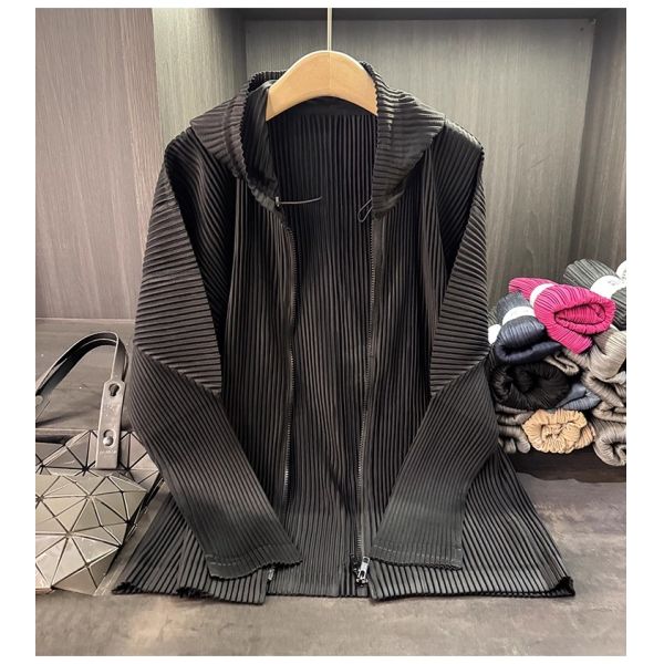 Autumn Style High-End Women's Cardigan Jacket Zipper Closure Hood Versatile Casual Pleated Slimming Top Solid Polyester Worsted