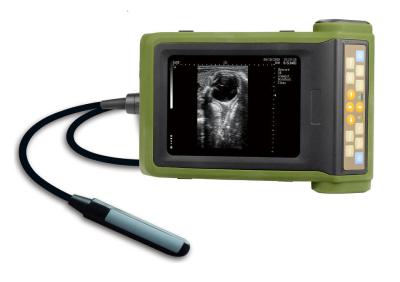 Pregnancy And Follicular Aspiration Farm Veterinary Ultrasound Machine 1.1KG