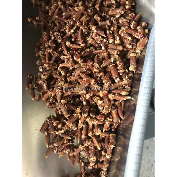 2023 Olive Pitter Machine Ideal for Processing Various Seeds and Fruits