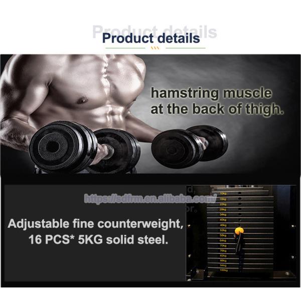 Body Building Workout Lat Pulldown and Low Row Machine for Strength Fitness Training