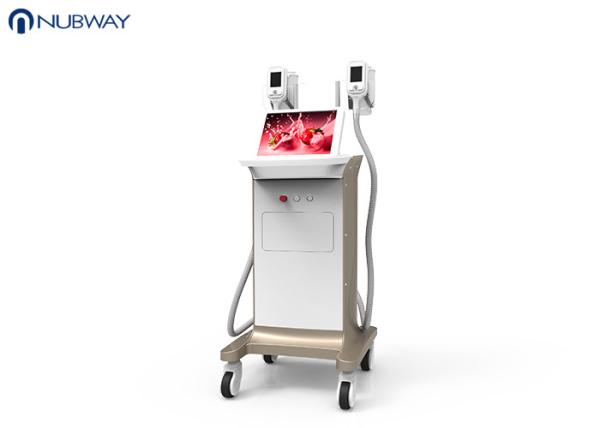 -15oC low temperature cool sculpting cryoliplysis body slimming  weight loss machine