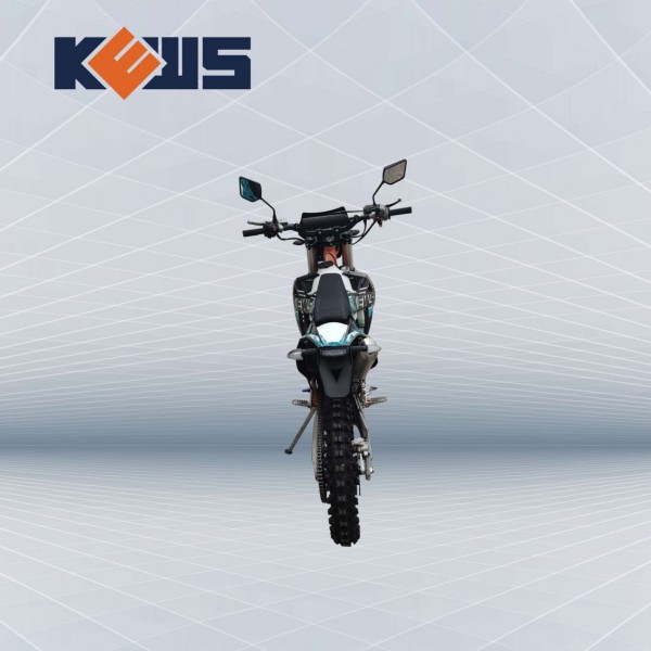 Water Cooled OEM Carburetor Two Storke Motorcycles Engine EC 300 with Strong Power