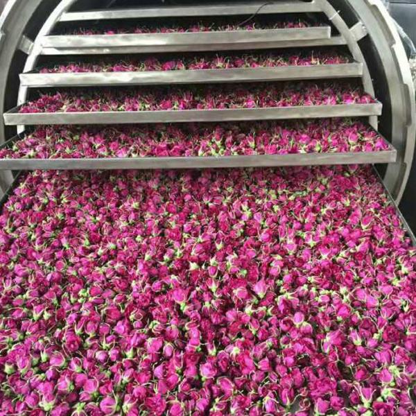 Вакуумируйте замораживание нержавеющей стали промышленное - высушенную машину плода