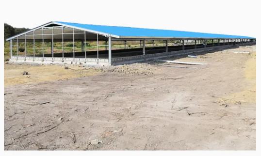 Pre Fabricated Steel Agricultural Buildings Large Agricultural Shed Q345 Q235