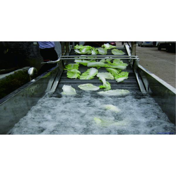 Industrial Fruit Vegetable Washer Machine Bubbling Turnover Flush Washing