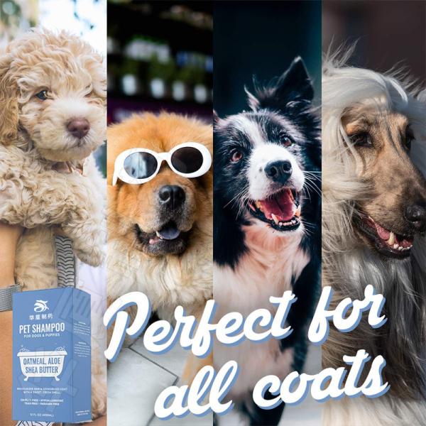 Oatmeal Aloe Pet Care Shampoo Shea Butter for Smelly Dogs Dry Itchy Skin