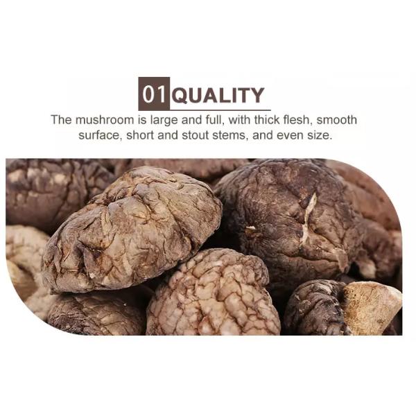 Культивирование Cubensis гриба шиитаке 4cm Брауна типичное очень вкусное сухое