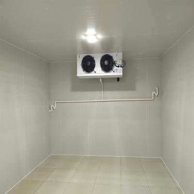 Espaço frigorífico respeitador da natureza para a produção de vegetais e frutas PU100426