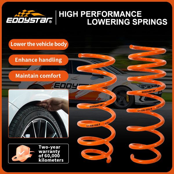 EDDYSTAR Performance Lowering Springs For Chevy Cruze/Malibu/Equinox/Impala/Corvette 2005-2025