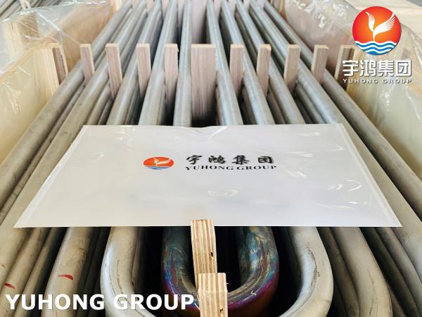Boiler U Tube ASTM A213 TP304 / 304L SS Seamless U Bend Tube
