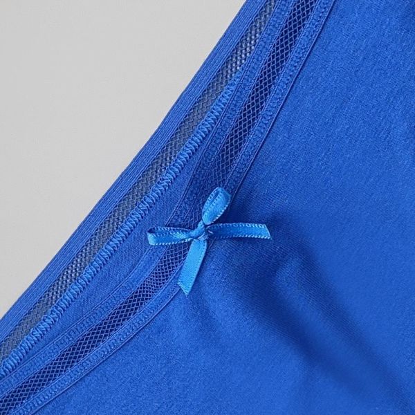 Women Bikini Panties Wholesale High Quality 95% Cotton Women Underwear Bikini 6 Colors Mix Bikini Type Underwear for Women