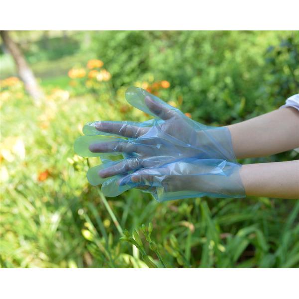 Перчатки TPE Ambidextrous качества еды устранимые