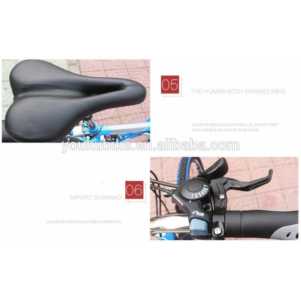 Steel 21 Speed 24 Inch Folding Mountain Bike