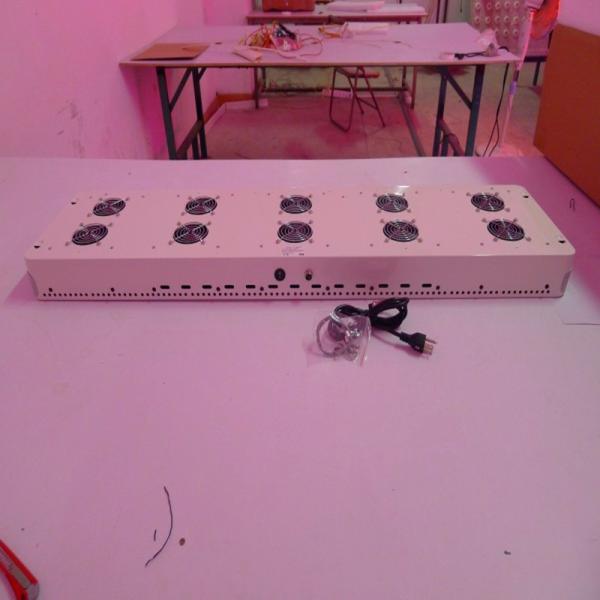 300*3W Apollo 20 LED grow light / full spectrum plant led light for hydroponics grow tent