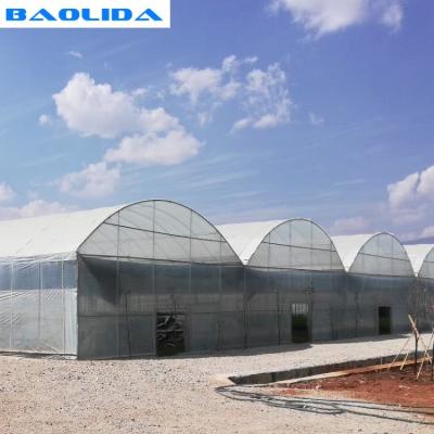 Estufa plástica forte da estrutura de telhado da abóbada com sistema de proteção interno