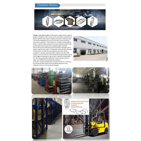 Deutz 1013 Piston Ring Set Mahle D7D D7E Diesel Piston Rings