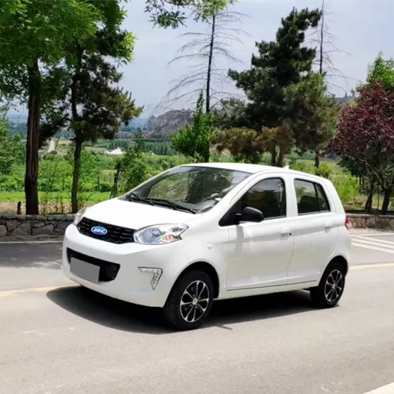 China Raysince hot sales model 5 door new energy car 4 Seat smart electric car
