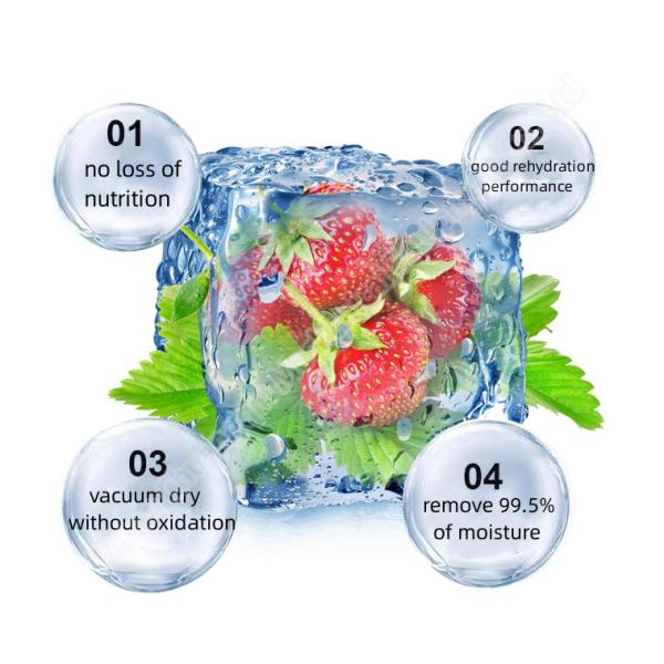 Fruits et légumes Fruits et légumes Viande et animaux de compagnie Machine de congélation