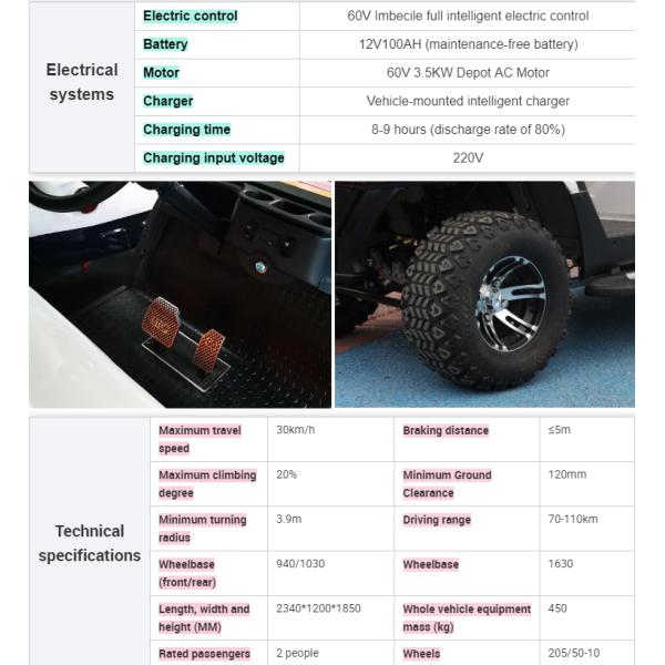 2 Passenger Terminator 48V Electric Golf Cart New Energy 5KW OEM