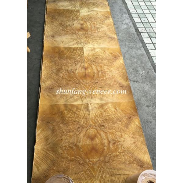 Golden Phoebe Burl Paper Back Veneer | Paper Backing Golden Phoebe Burl Veneer Sheet