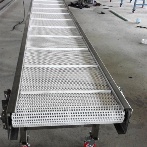                  Palletizing Roller Conveyor for Carton and Bag, with Pallet Magazine             