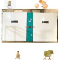 Huevo grande del pollo de la granja que trama capacidad del gran escala 19200 de la máquina