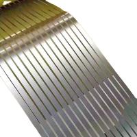 Metal 2507 0.6mm de aço inoxidável da tira 310S 2205 dos SS 309S 201 0.7mm