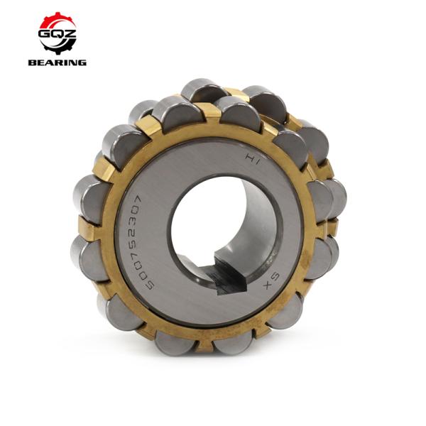 500752307 Nylon Cage Double Row Eccentric Roller Bearing 35x86.5x50mm