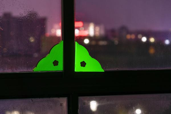 Effective Pest Control Window Insect Trap with Customized Color and 2.0g Glue Included