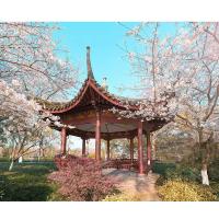 Pavillon solide de loisirs de conception antique chinoise faite sur commande de jardin imperméable