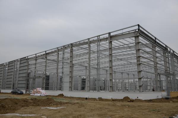 Q235B Q355B Economical Steel Structure Warehouse Prefabricated Steel Buildings