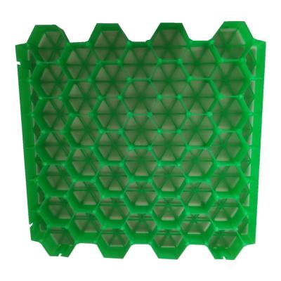 Landscape Turf Grass Paver 500*500*50MM HDPE Grass Grids Pavers with Modern Design