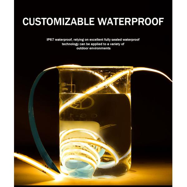 Зеленый светодиодный светодиодный светодиод 8 мм 320 leds 12v24v для наружного и внутреннего использования